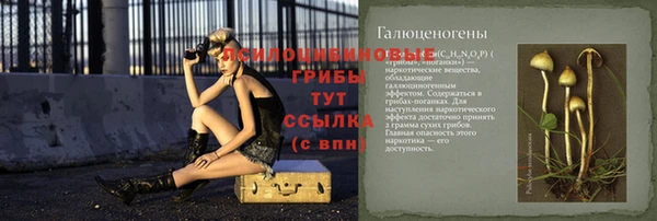 амф Арсеньев