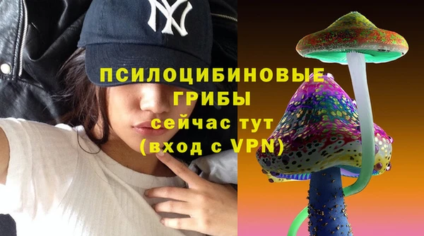 амф Арсеньев