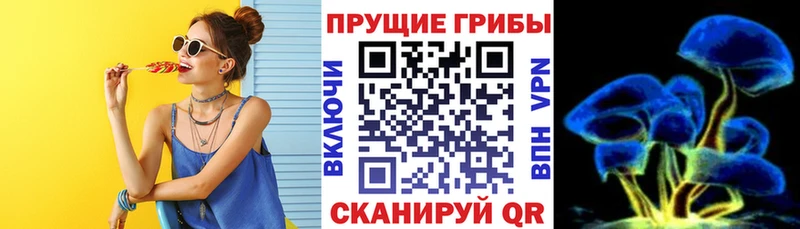 Галлюциногенные грибы Psilocybine cubensis  Ухта 